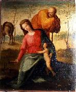 Domenico di Pace Beccafumi The Flight into Egypt oil painting